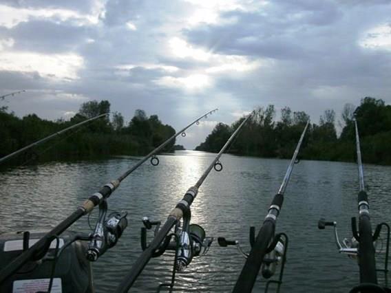 Doar ... NATURA  - 2 - gedc0103.JPG